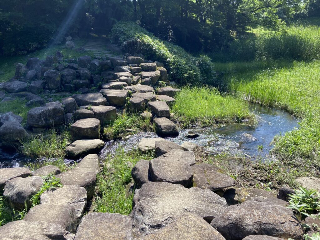 小川と湿地帯